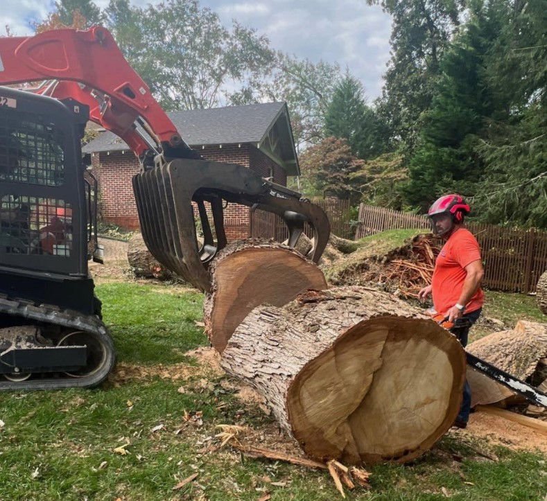 Best Tree Removal Services in Evansville, IN: Safe & Efficient Solutions