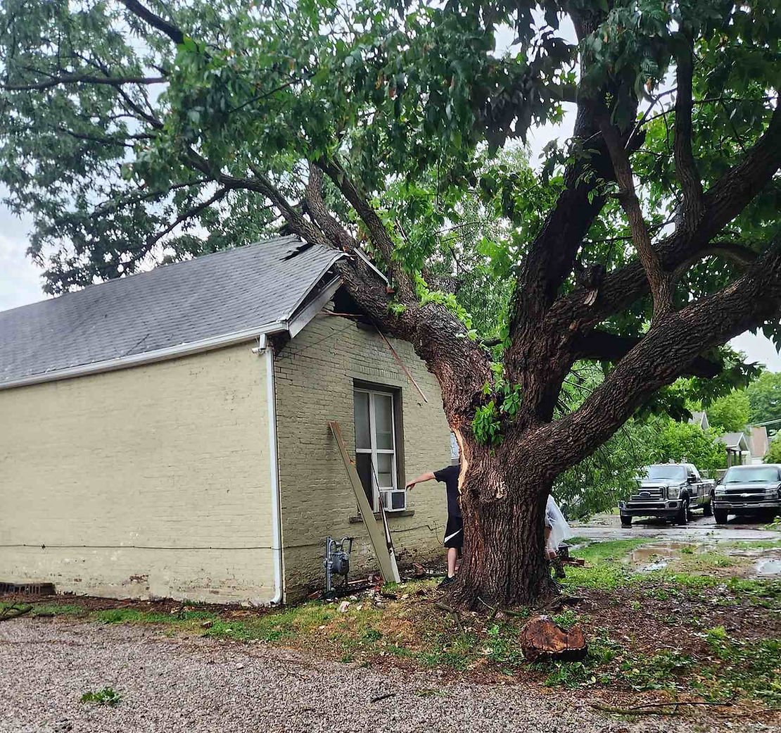 Emergency Storm Damage Tree Removal in Evansville, IN: What You Should Know
