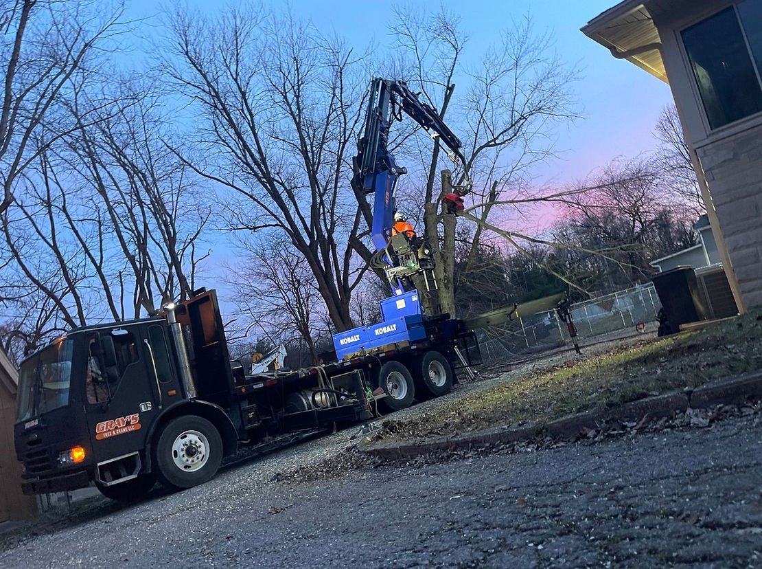 The Importance of Emergency Tree Removal Services in Evansville, IN: Insights from Gray’s Tree & Crane
