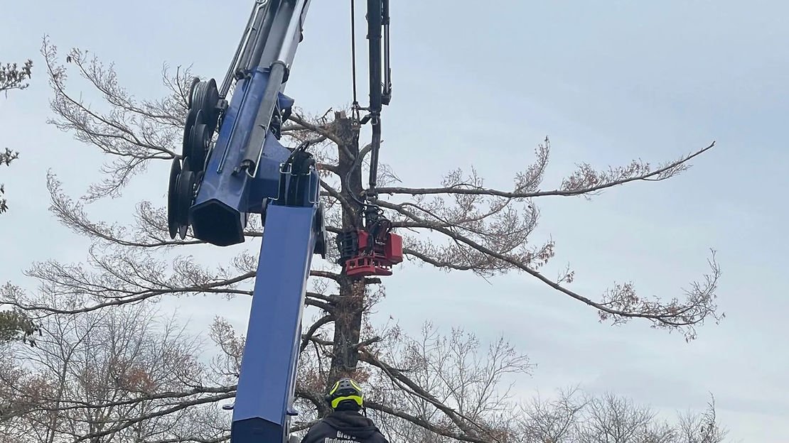 Why Choose Gray’s Tree & Crane for Professional Tree Trimming Services Near Me in Evansville, IN?
