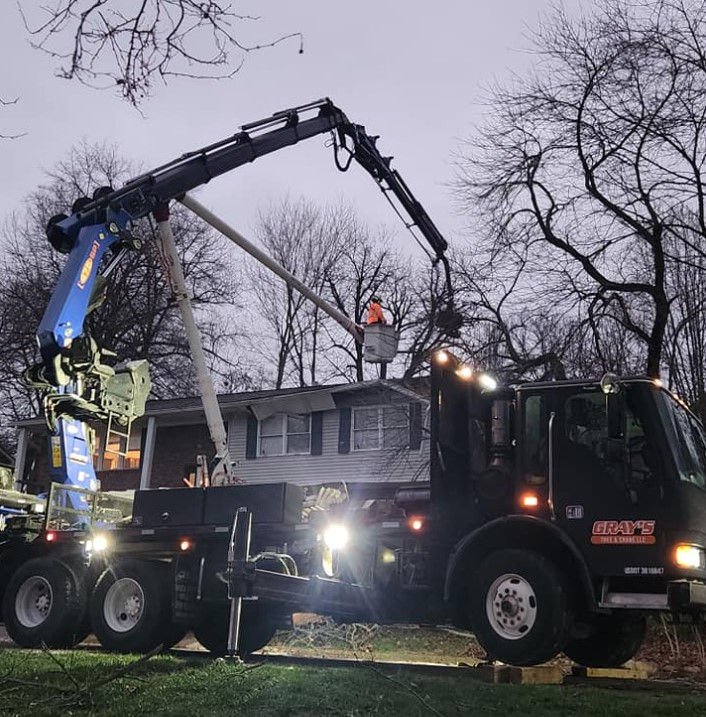 How Gray’s Tree & Crane Became the Best Tree Removal Company in Evansville, IN
