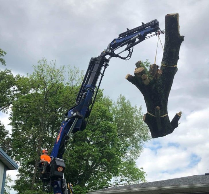 Local Tree Removal Service in Evansville, IN: Meet Gray’s Tree & Crane