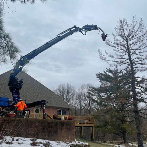 grays-tree-and-crane-gallery-02-640w